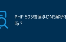 PHP 503错误与DNS解析有关吗？