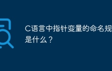 C语言中指针变量的命名规则是什么？