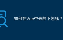 如何在Vue中去除下划线？