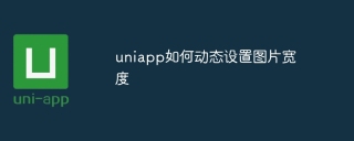 uniapp如何动态设置图片宽度