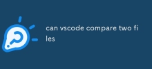 vscode可以比較兩個文件
