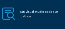 Visual Studio Code可以運行Python嗎