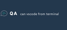 可以從終端使用 vscode