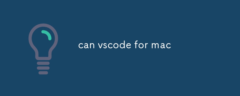 Mac 版 vscode 可以嗎