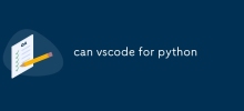 可以用 vscode 來運行 python