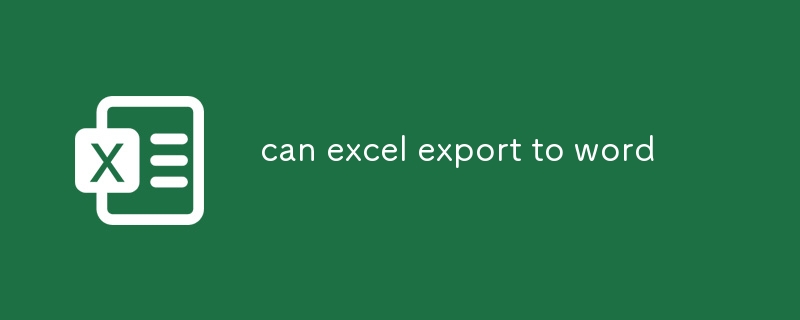 kann Excel nach Word exportieren