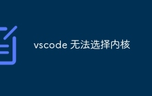 vscode 无法选择内核