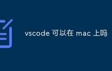 vscode 可以在 mac 上吗