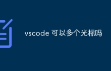 vscode 可以多个光标吗