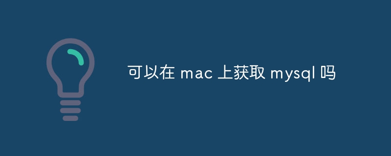 可以在 mac 上獲取 mysql 嗎