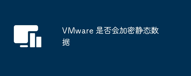 VMware 是否会加密静态数据