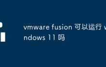 vmware fusion 可以运行 windows 11 吗