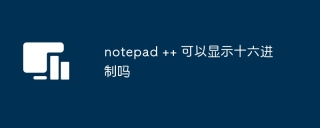 notepad ++ 可以显示十六进制吗