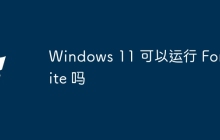 Windows 11 可以运行 Fortnite 吗