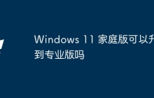 Windows 11 家庭版可以升级到专业版吗
