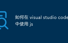 如何在 visual studio code 中使用 js
