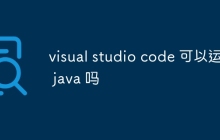 visual studio code 可以运行 java 吗