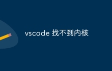 vscode 找不到内核