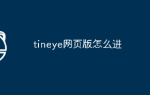 tineye网页版怎么进