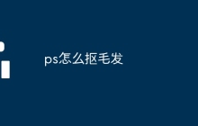 ps怎么抠毛发