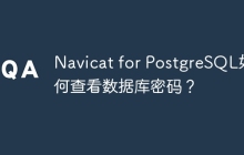Navicat for PostgreSQL如何查看数据库密码？