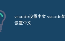 vscode设置中文 vscode如何设置中文