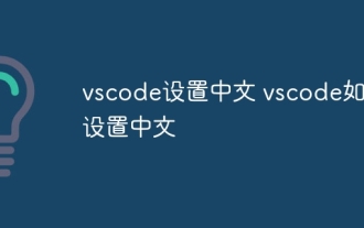 vscode setting Chinese How to set vscode in Chinese