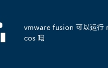 vmware fusion 可以运行 macos 吗