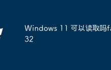 Windows 11 可以读取吗fat32