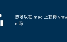 您可以在 mac 上获得 vmware 吗