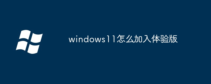 windows11怎么加入體驗(yàn)版