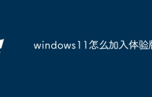 windows11怎么加入体验版