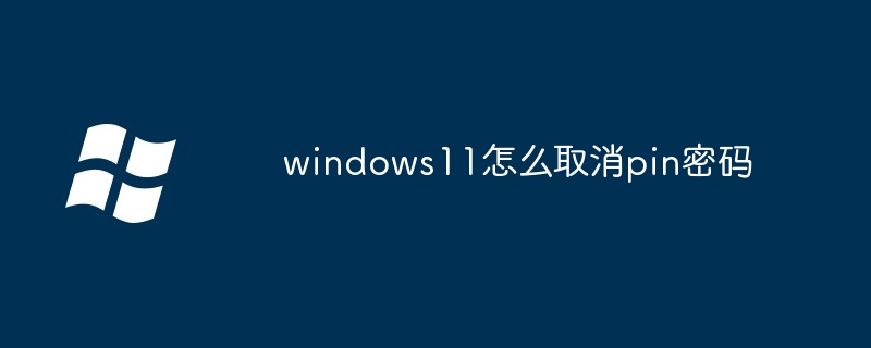 windows11怎么取消pin密码