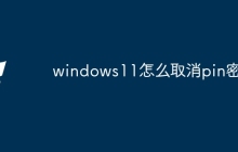 windows11怎么取消pin密码