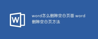 word怎么删除空白页面 word删除空白页方法