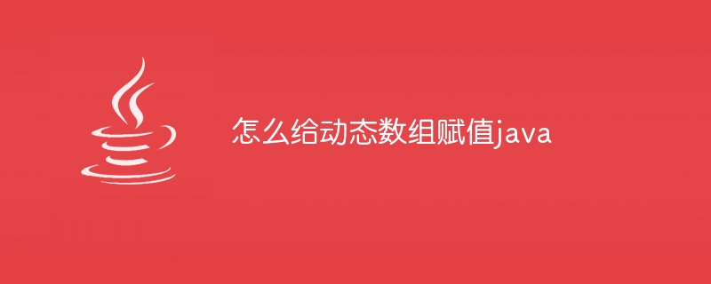 怎么给动态数组赋值java