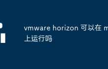 vmware horizo​​n 可以在 mac 上运行吗