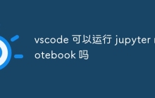 vscode 可以运行 jupyter notebook 吗