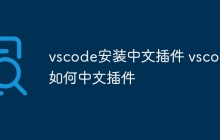 vscode安装中文插件 vscode如何中文插件