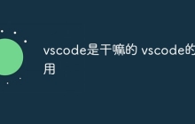 vscode是干嘛的 vscode的作用