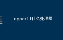 oppor11什么处理器