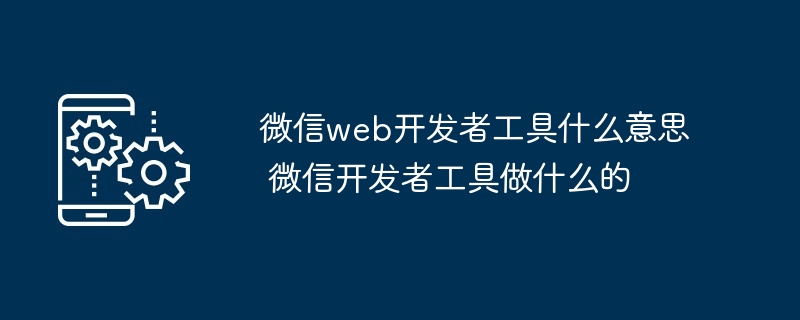 微信web开发者工具什么意思 微信开发者工具做什么的