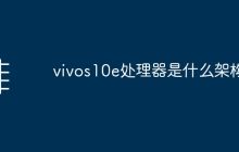 vivos10e处理器是什么架构