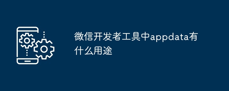 微信开发者工具中appdata有什么用途