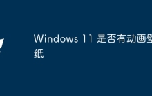 Windows 11 是否有动画壁纸