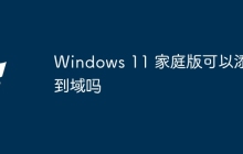 Windows 11 家庭版可以添加到域吗