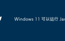 Windows 11 可以运行 Java