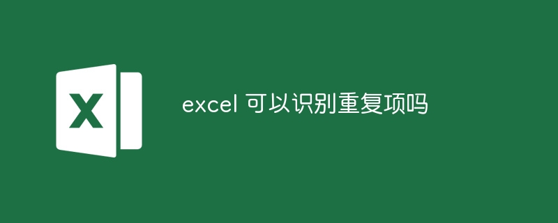 excel 可以识别重复项吗