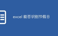 excel 能否识别节假日