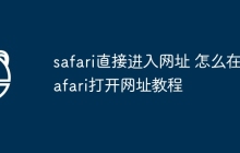 safari直接进入网址 怎么在safari打开网址教程